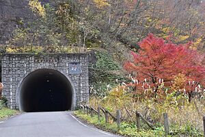 川浦谷新美山トンネル付近の紅葉