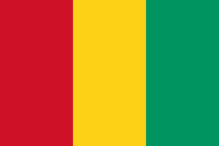 ファイル:ギニア国旗.png