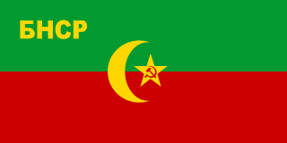 ファイル:Flag of the Bukharan People's Soviet Republic.png