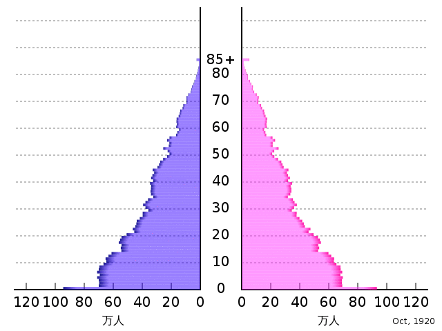ファイル:日本の人口ピラミッドの推移.gif