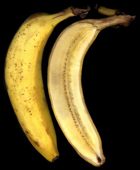 ファイル:バナナの断面図.JPG