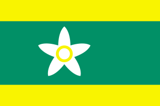 ファイル:愛媛県旗.png