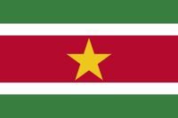 ファイル:スリナム国旗.png