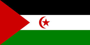 ファイル:西サハラ国旗.jpg