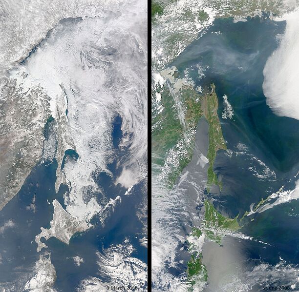 ファイル:2008年のオホーツク海.jpg