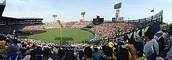 阪神甲子園球場-一塁アルプス上段より 2014-05-31 17-42.jpg