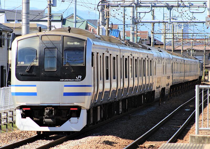 ファイル:Nambu Line E217 Y-49 20210303.jpg