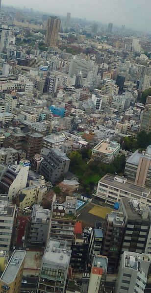ファイル:東京タワーからの風景.JPG