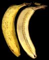 バナナの断面図.JPG