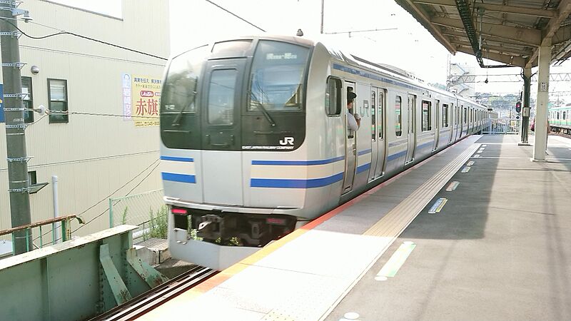 ファイル:JR東日本E217系横須賀線-総武線 横クラY-12.JPG