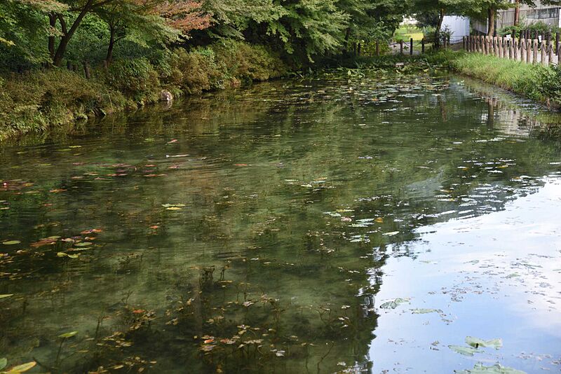 ファイル:Monet-pond-01.jpg