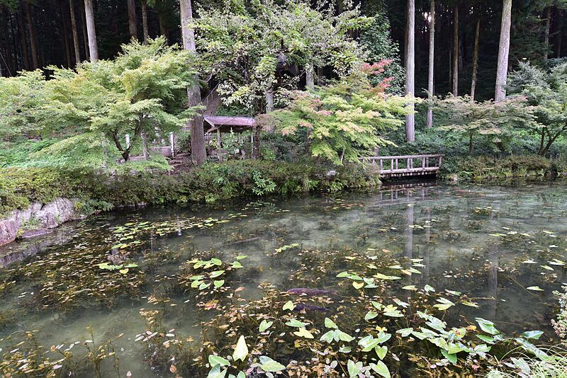 ファイル:Monet-pond-04.jpg