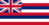 ハワイ州旗.png