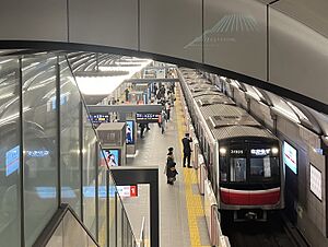 Osaka Metro Midosuji Line Shinsaibashi.jpg