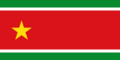 解放人民連合（UPLG）提案の旗