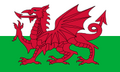 ウェールズ旗.png