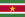 スリナム国旗.png