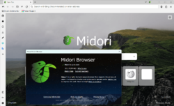Midori Web Browser v11.0 running on Windows 11 23H2.png
