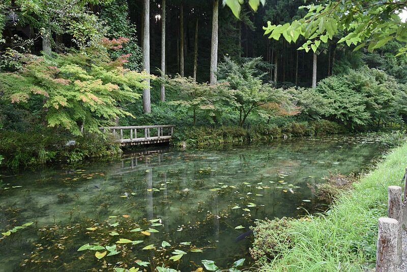 ファイル:Monet-pond-02.jpg