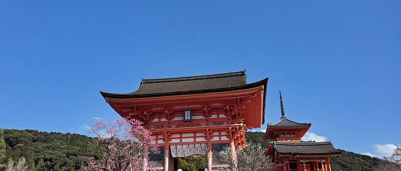 ファイル:Kiyomizudera temple nioumon1.jpg