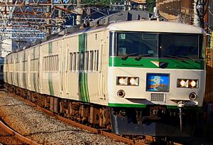 JNR 185 Series A5 Shonan Liner 20200811.jpg