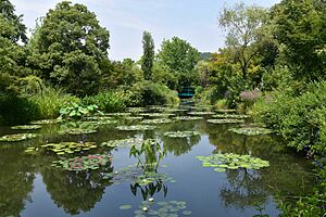 モネの庭の池全景