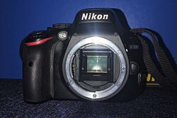 Nikon D5100 2024-02-18.jpg